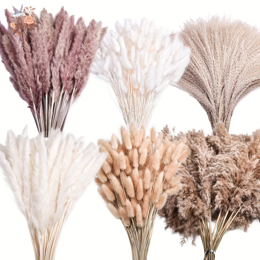 Pampas Grass Decor - 320 stuks gemengde pluizige grote pampasgras