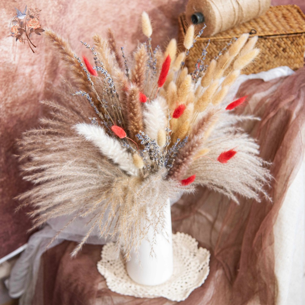 Natuurlijke Pampas Lavendel Ge - Pampas Grass Decor recensie en prijs