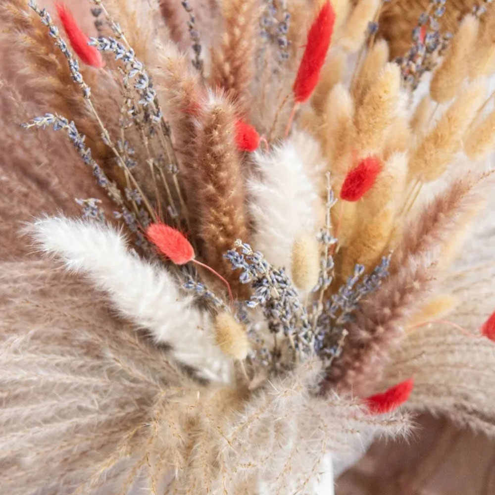 Natuurlijke Pampas Lavendel Ge - Pampas Grass Decor recensie en prijs