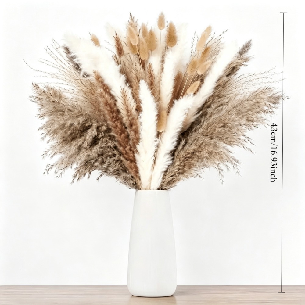 Gedroogde bloemen, bruin en wi - Pampas Grass Decor recensie en prijs