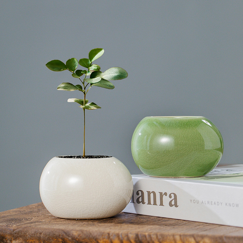IJsglazuur Keramische Bloempot - Rattan Plant Basket recensie en prijs
