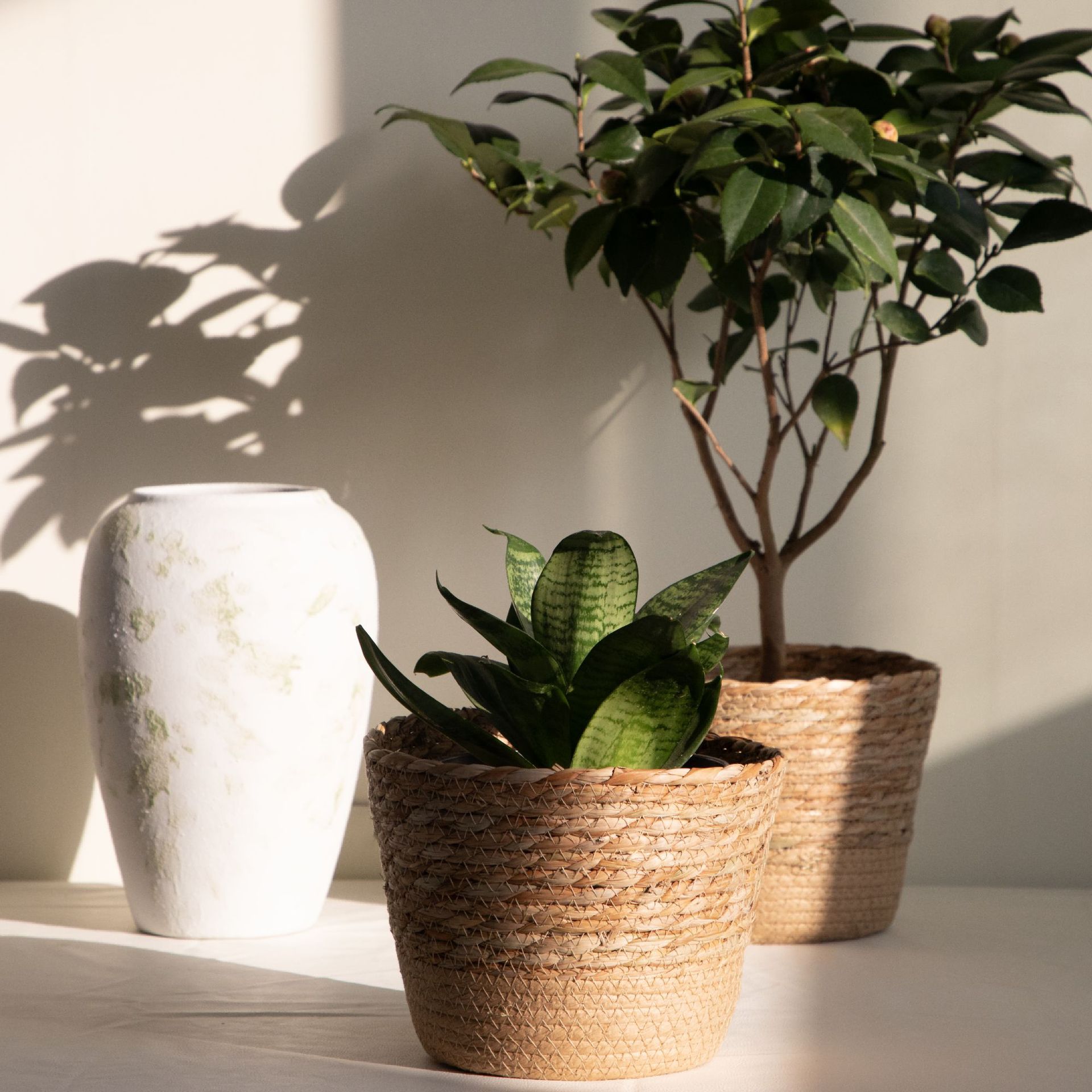 Multifunctionele geweven opber - Rattan Plant Basket recensie en prijs